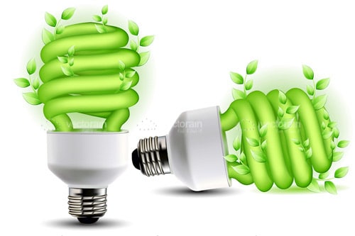 Pair of Eco Friendly Low Energy Bulbs